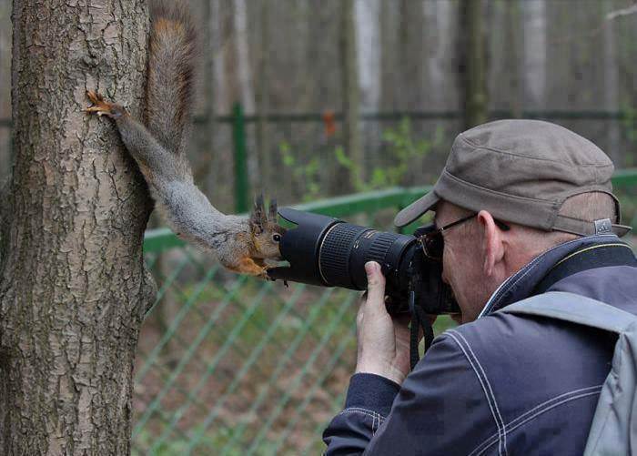 veverita_in_camera